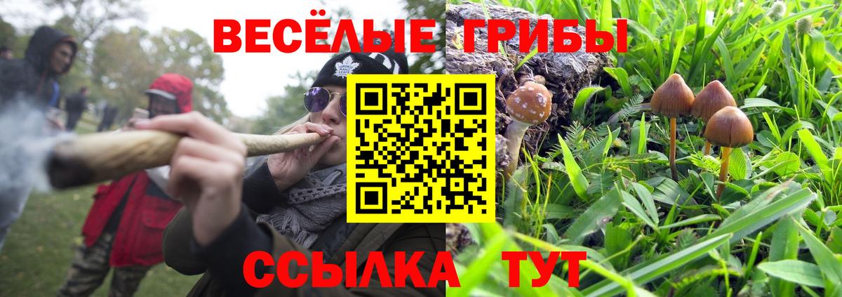 Псилоцибиновые грибы Cubensis  цена   Вход с VPN  Михайловка  Псилоцибиновые грибы мухоморы 
